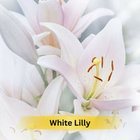 Thumbnail for Prakriti Herbal Soap White Lily - Distacart