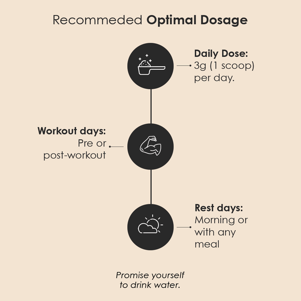 GATACA Creatine Monohydrate 200 Mesh, Ultra-Micronized for Maximum Absorption, Daily Strength, Focus & Recovery. Backed by Science, Designed for You