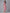 AURELIA Pink & Blue A-Line Cotton Midi Dress