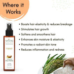 Thumbnail for ef1487e9412000901106_3