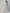 AURELIA Women Green & Yellow Floral Print Shirt Dress - Distacart