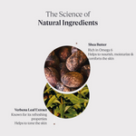 Thumbnail for download - 2024-09-23T173815.257