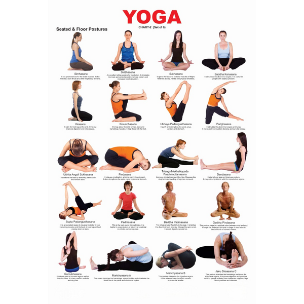 Dreamland Publications Yoga Chart - 2 : Children Reference Educational Laminated Chart - Distacart