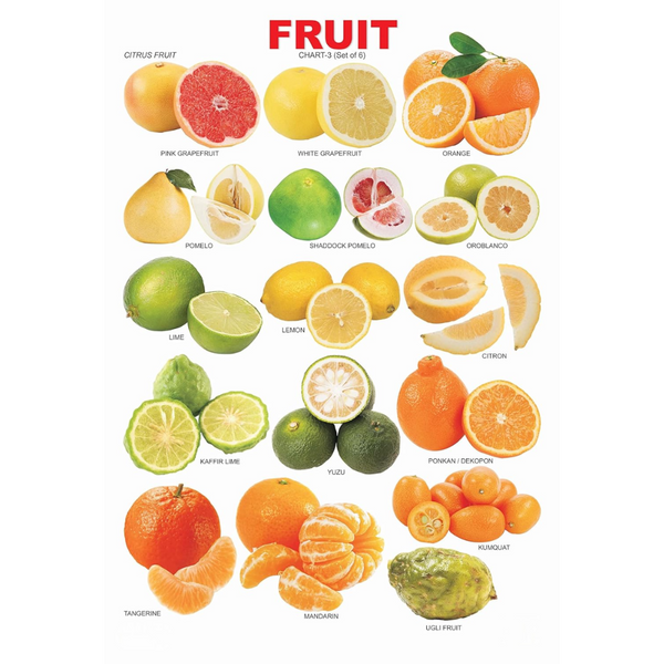 Dreamland Publications Educational Chart for Kids - Fruit Chart - 3 - Distacart
