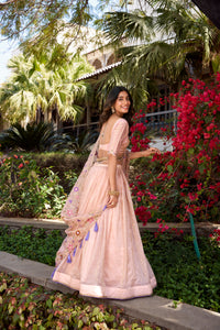 Thumbnail for Lorenvalley Light Pink Gold Crush Fabric Sequins and Thread Embroidery All Over Butties Work Lehenga choli