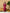Myshka Kids Girls Calf length Embellished Kurta Set Magenta Color - Distacart