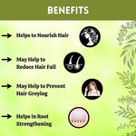Thumbnail for Herbal Hills Ayurveda Bhringraj Powder - Distacart