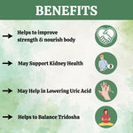 Thumbnail for Herbal Hills Ayurveda Gokshur Powder - Distacart