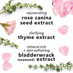 Thumbnail for download - 2025-01-08T145627.003