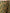 Anubhutee Teal Ethnic Motifs Printed Empire Thread Work Pure Cotton Kurta with Trousers & With Dupatta - Distacart
