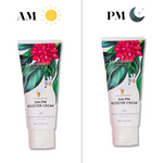 Thumbnail for download - 2024-11-11T162821.228