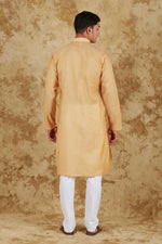Thumbnail for Bluesaanchi Men's Chandery Silk Khaki Embroidered Kurta Set - Distacart