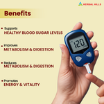 Thumbnail for Herbal Hills Ayurveda Dia Care Churna - Distacart