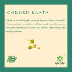 Thumbnail for Ayurvedix Gokhru Kaata Ark - Distacart
