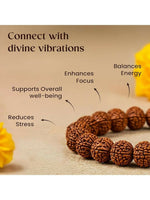 Thumbnail for NVR3112 (4) (1)