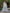 Juniper Blue Ethnic Motif Printed Flared Shantoon Maxi Dress With Beads & Sequins Work - Distacart