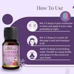 Thumbnail for download - 2024-10-05T182636.457