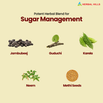 Thumbnail for Herbal Hills Ayurveda Dia Care Churna - Distacart