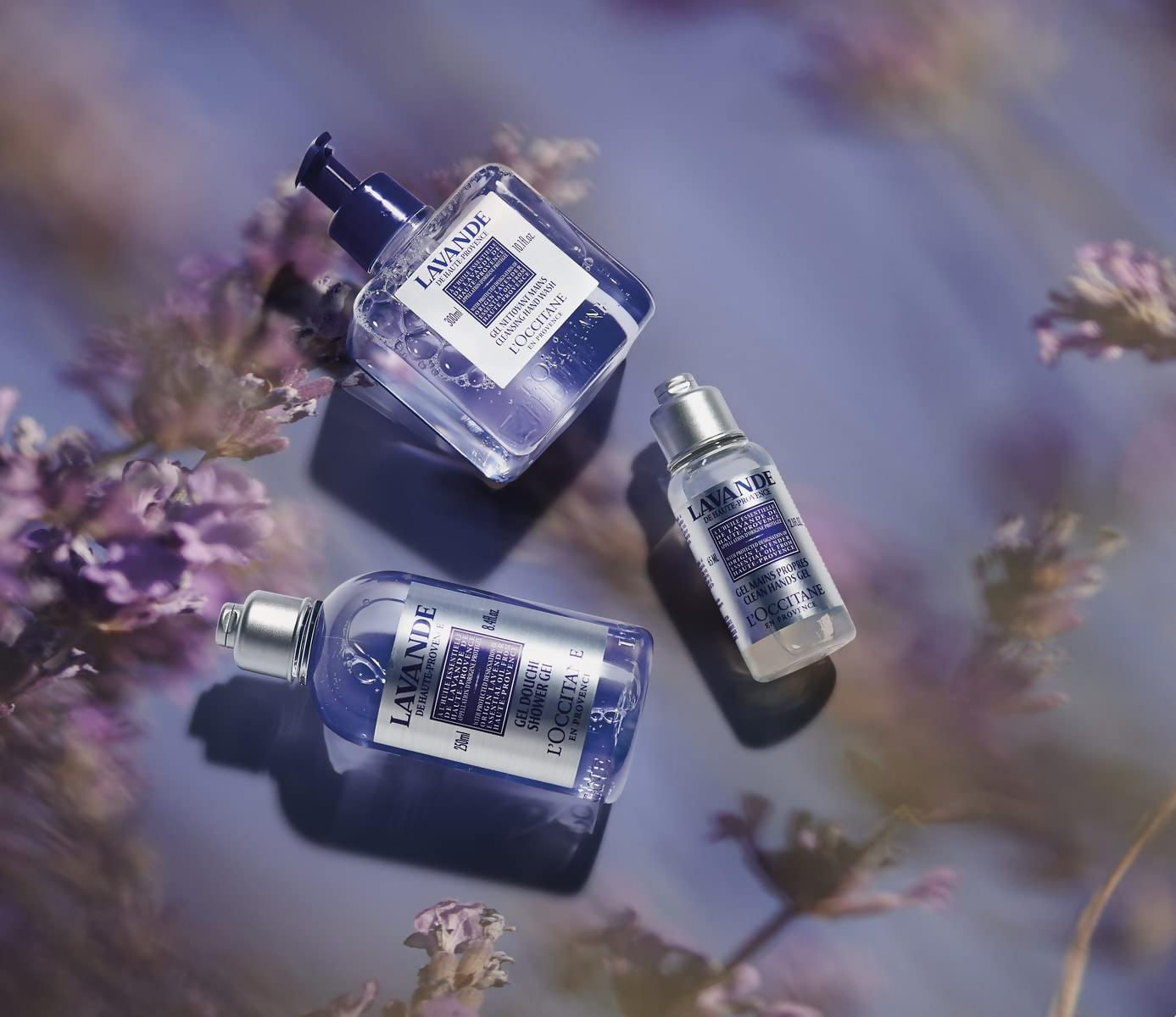 download - 2024-09-24T160144.458