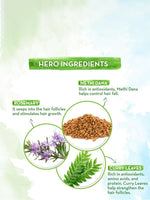 Thumbnail for 1fee9ed4-b5a2-4c1a-857e-f149458be8721718879926061MamaearthSetofRosemaryHairGrowthOil150mlHairGrowthScalpSerum7