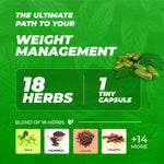 Thumbnail for 61UbZZ2nJBL._SL1080_