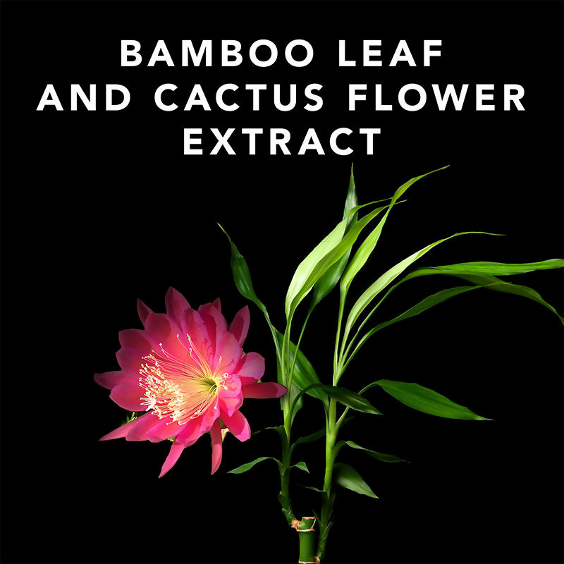 Sebastian Professional Volupt Spray For Extra Body And Volume - Distacart