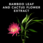 Thumbnail for Sebastian Professional Volupt Spray For Extra Body And Volume - Distacart