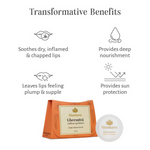 Thumbnail for Shankara by Sri Sri Tattva Gheesutra Saffron Lip Butter - Distacart