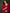 Sangria Zari Sequence Embroidered Kurta & Trouser With Dupatta - Distacart