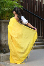 Thumbnail for HMP_4774