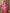 Dark Pink (2)