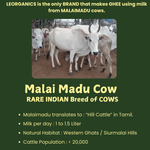 Thumbnail for Le Organics A2 Cow Ghee | Cultured Desi Ghee | Homemade & Certified Organic Ghee - Distacart