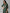 AURELIA Green & Pink Ethnic Motifs Pure Cotton Maxi Ethnic Dress