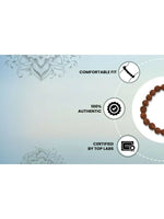 Thumbnail for NVR3113 (7) (1)