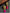 flower_202