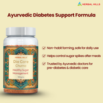 Thumbnail for Herbal Hills Ayurveda Dia Care Churna - Distacart