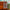 flower_229