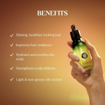 Thumbnail for download - 2024-09-23T151050.075