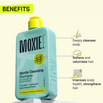 Thumbnail for download - 2024-09-27T170639.326