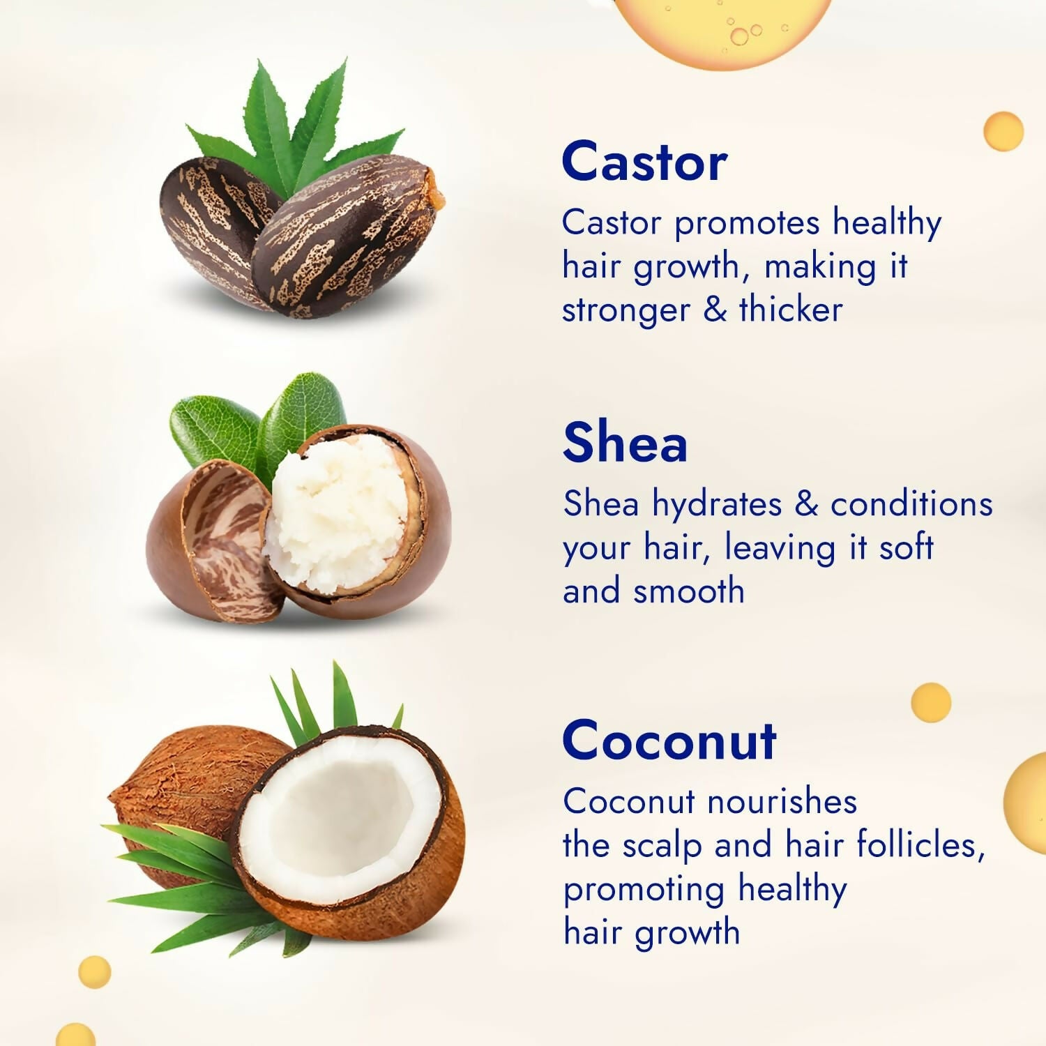 Parachute Advansed Castor & Shea-enriched Coconut Hair Oil - Distacart