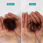 Thumbnail for Pilgrim Spanish Rosemary Anti-Hairfall Shampoo (GTM) - Distacart