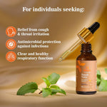 Thumbnail for Ashpveda Panch Tulsi Oil - Distacart