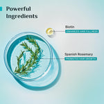 Thumbnail for Pilgrim Spanish Rosemary Anti-Hairfall Shampoo (GTM) - Distacart