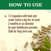 Thumbnail for Organic Wellness Giloy Capsules - Distacart