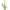 Alps Goodness Rosemary Water for Hair Regrowth - Distacart