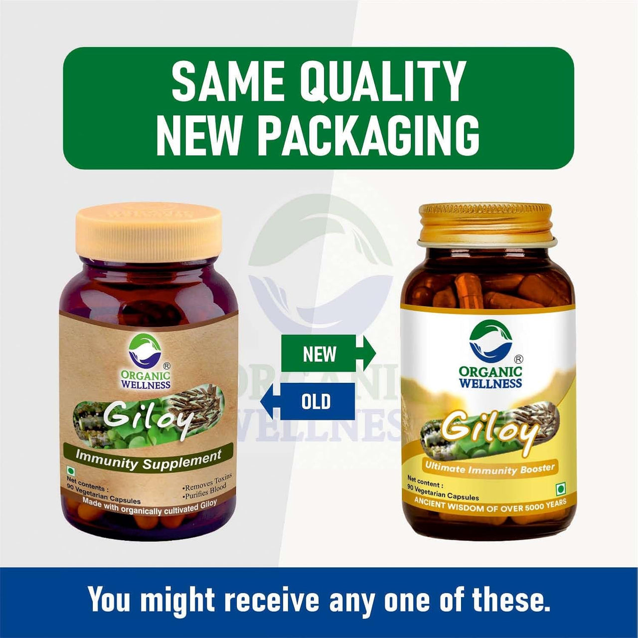 Organic Wellness Giloy Capsules - Distacart