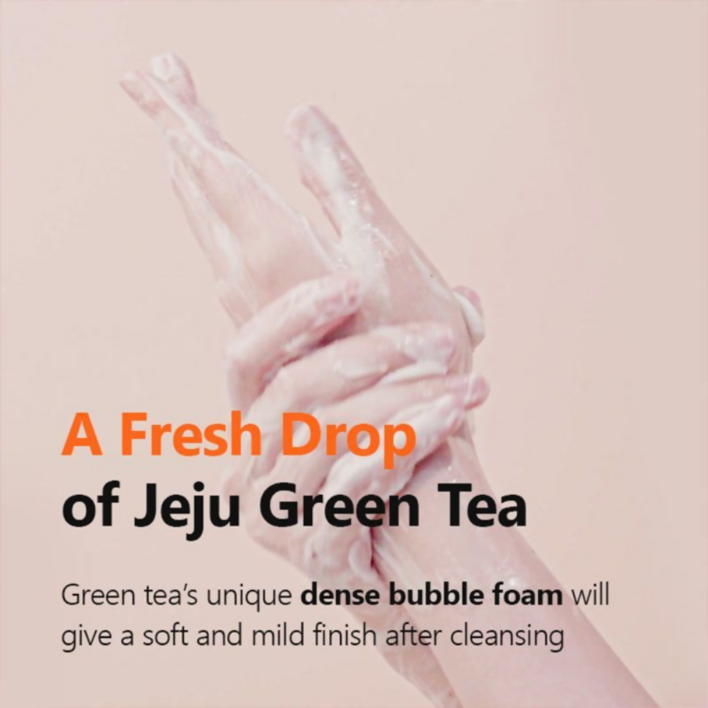 Isntree Green Tea Fresh Cleanser - Distacart