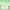 download (33)-Photoroom