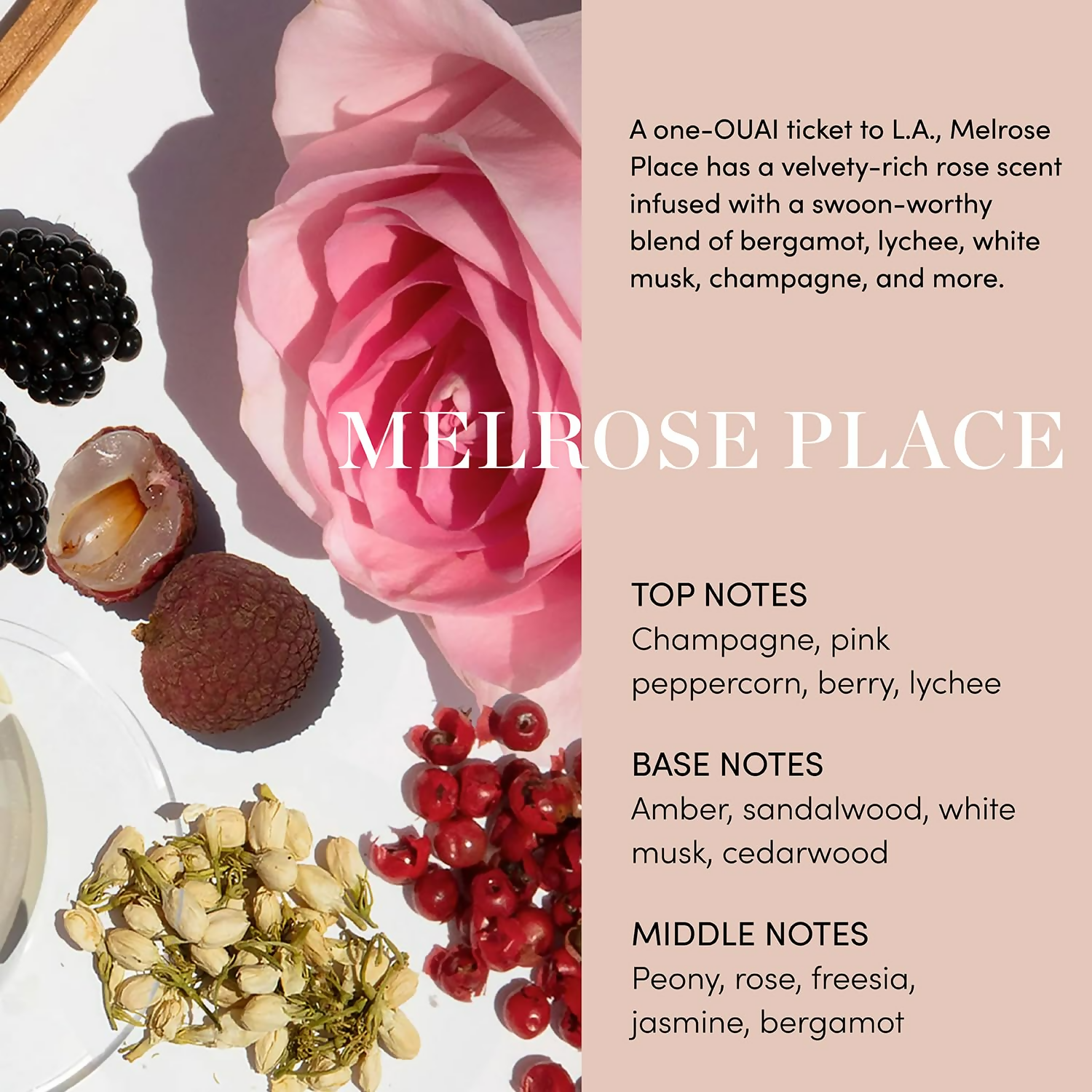 download - 2025-01-20T161338.536