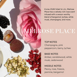 Thumbnail for download - 2025-01-20T161338.536